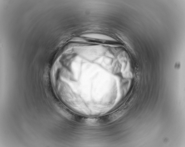 X0000090500265200708102247