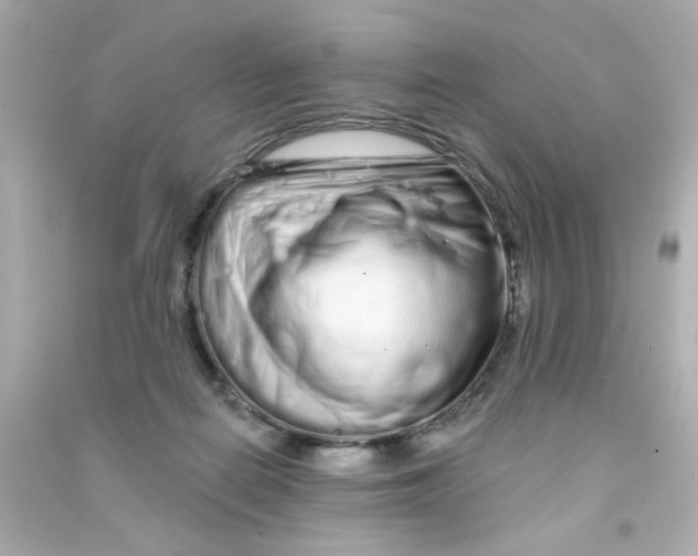 X0000090500266200708102247