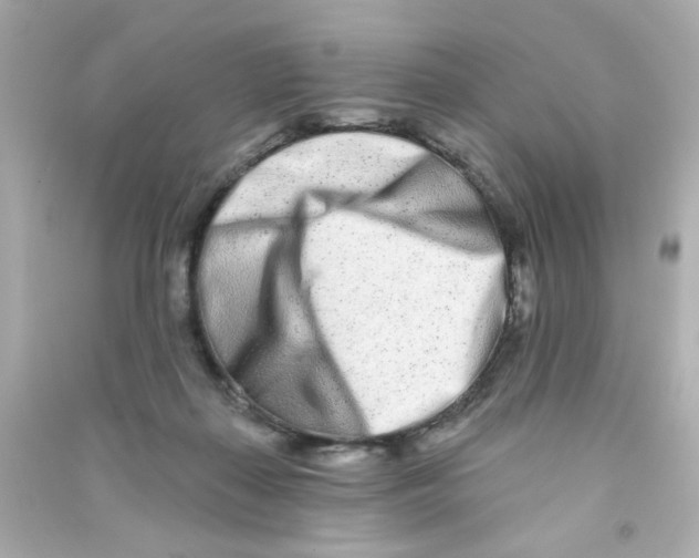 X0000090500267200708102247