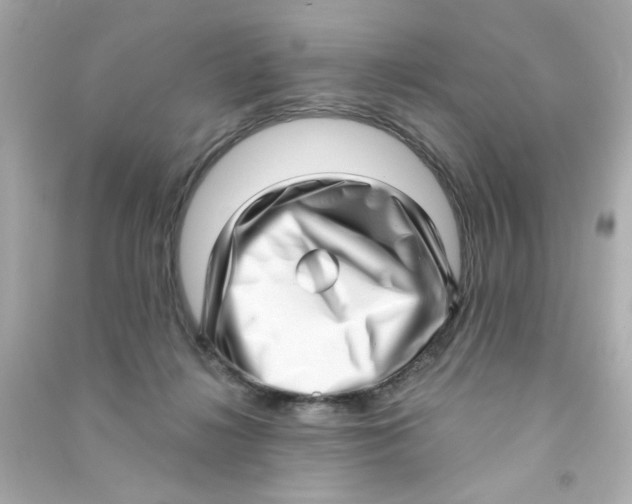 X0000090500268200708102247