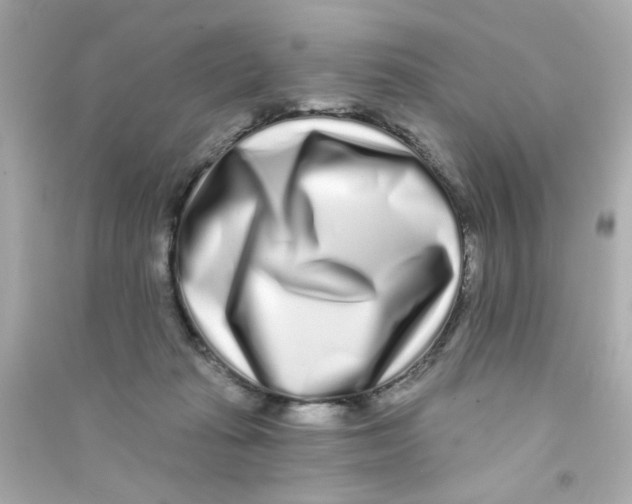 X0000090500269200708102247