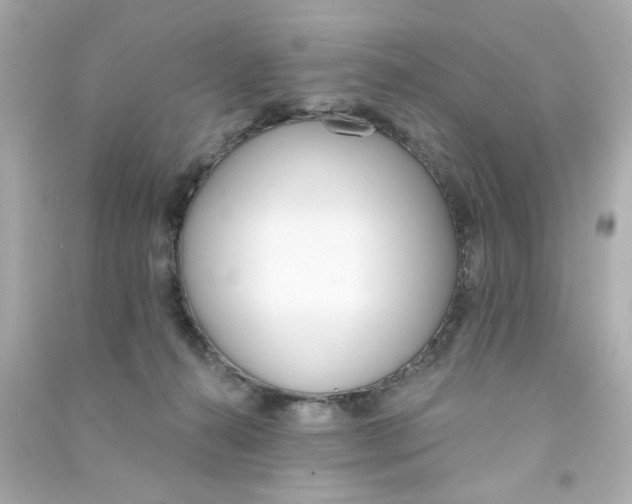 X0000090500272200708102247