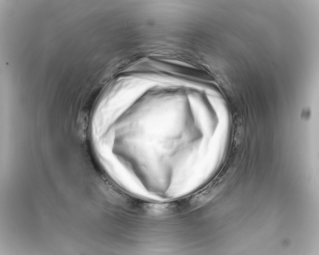 X0000090500273200708102247