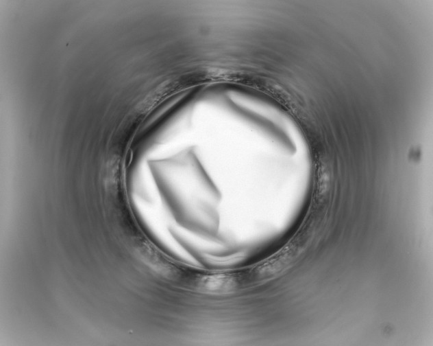 X0000090500275200708102247