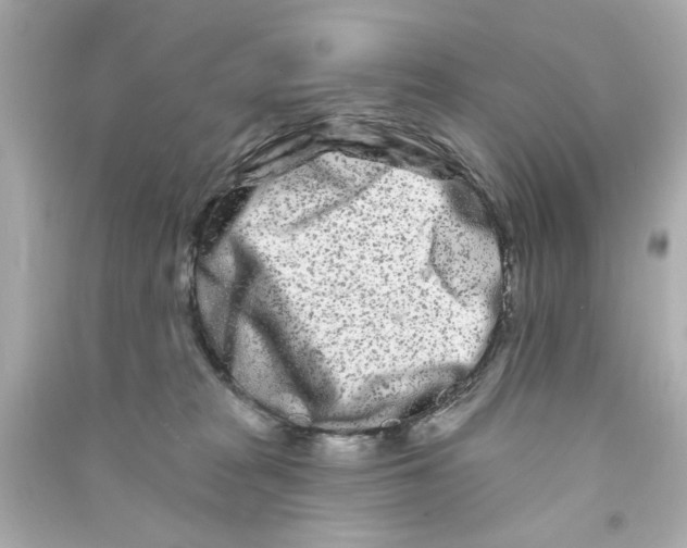 X0000090500277200708102247