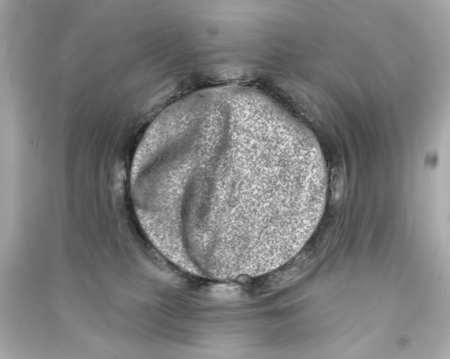 X0000090500279200708102247
