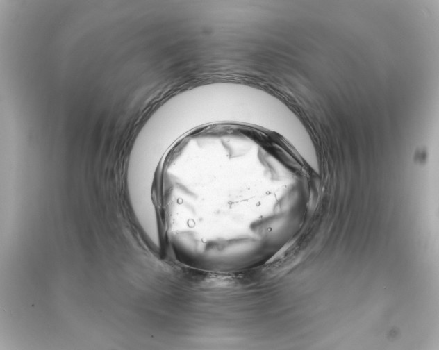 X0000090500280200708102247