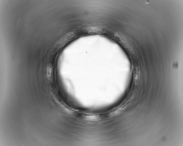 X0000090500281200708102247