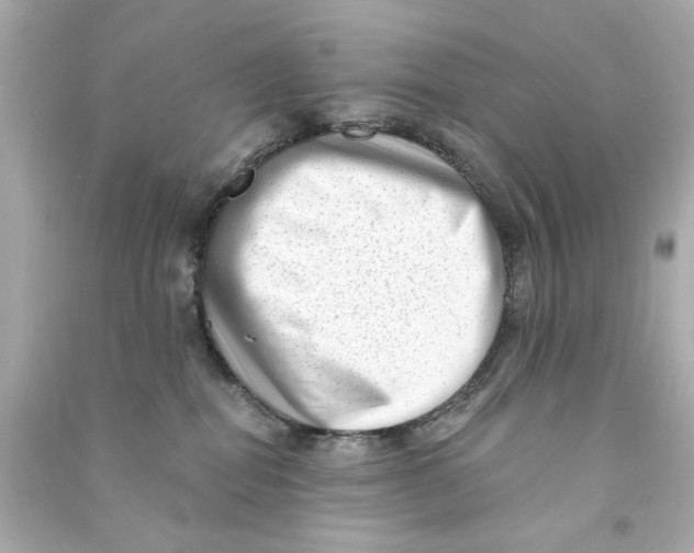 X0000090500282200708102247