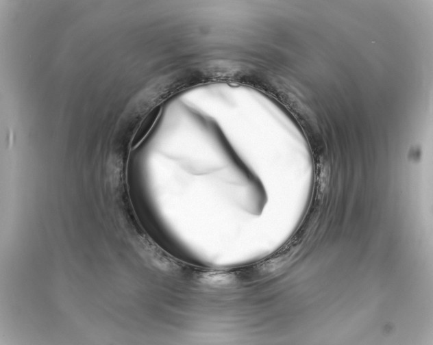 X0000090500283200708102247