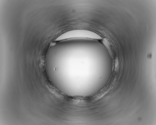 X0000090500284200708102247