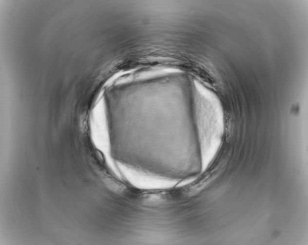 X0000090500285200708102247