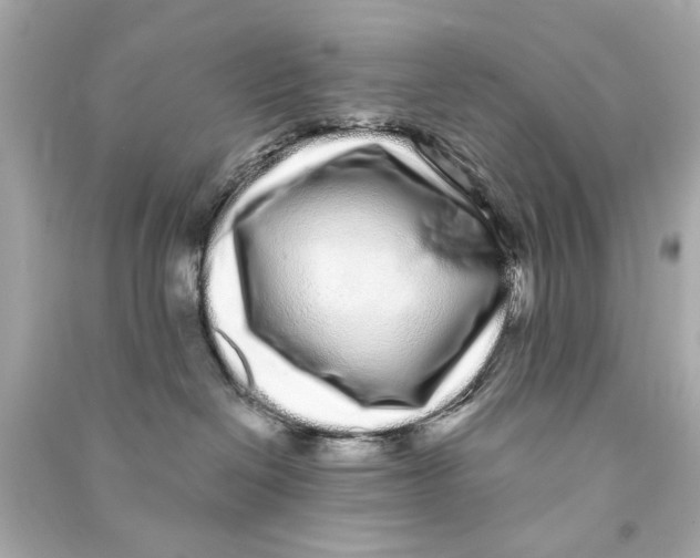 X0000090500286200708102247