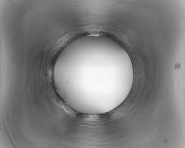 X0000090500288200708102248