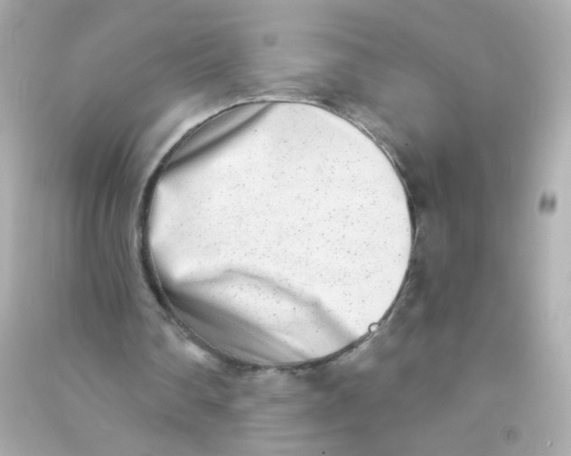 X0000090500290200708102247