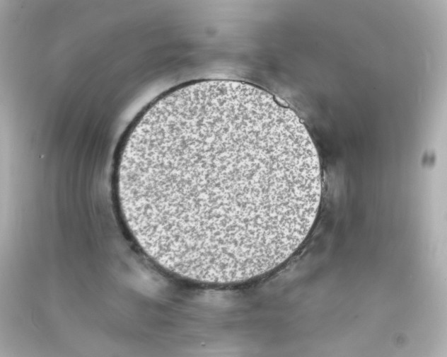X0000090500292200708102247