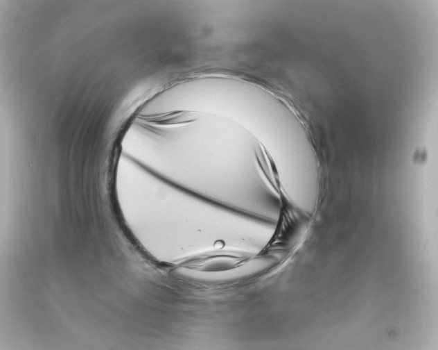 X0000090500293200708102247