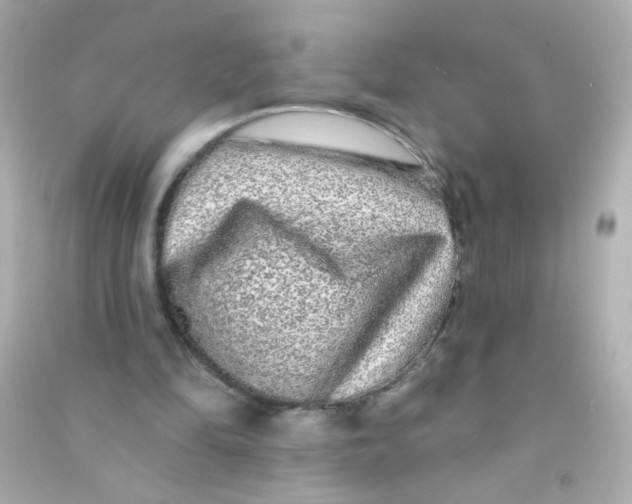 X0000090500294200708102247