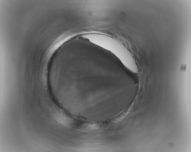 X0000090500295200708102247