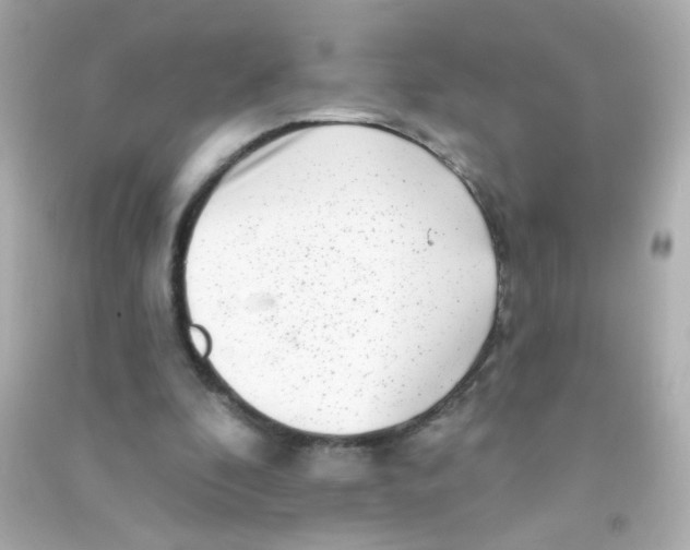 X0000090500296200708102247