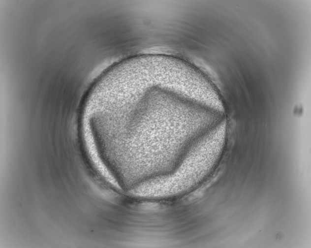 X0000090500298200708102247