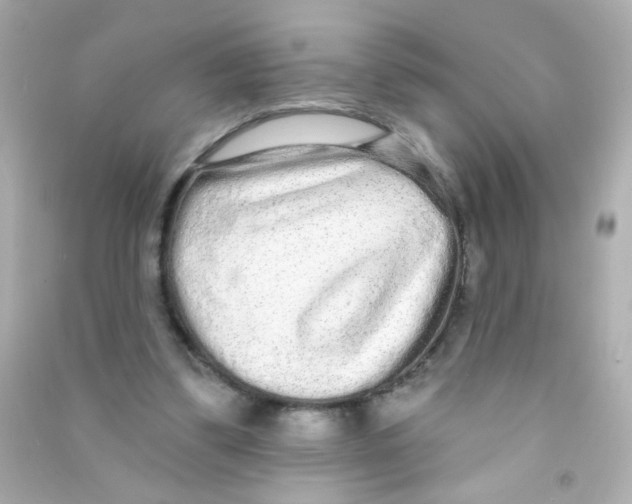 X0000090500299200708102247