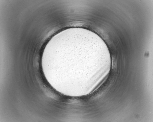 X0000090500300200708102247