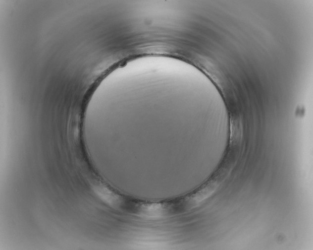 X0000090500301200708102247