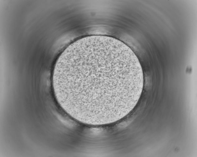 X0000090500302200708102246