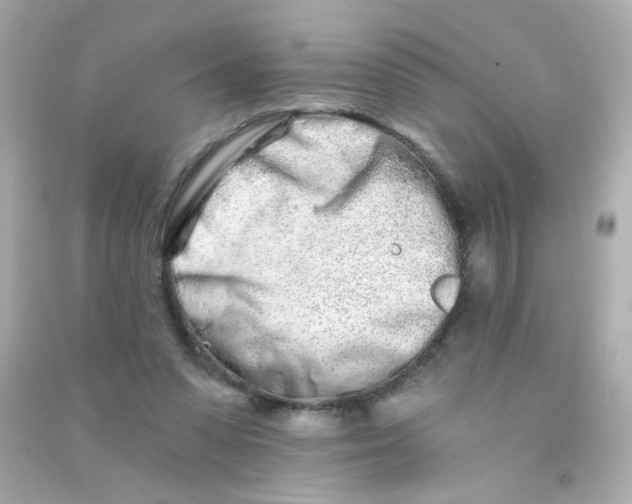 X0000090500303200708102246