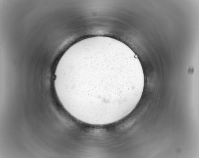 X0000090500304200708102246