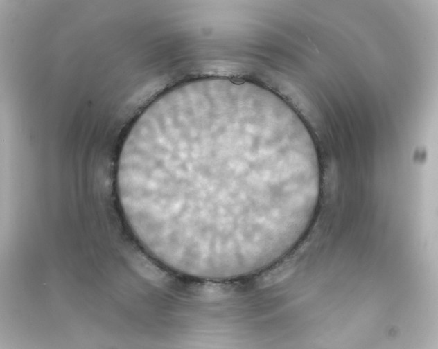 X0000090500305200708102246