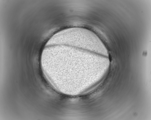 X0000090500306200708102246