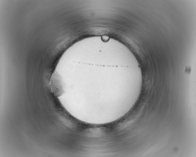 X0000090500307200708102246