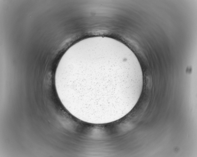 X0000090500308200708102246