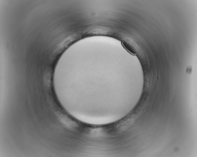 X0000090500309200708102246