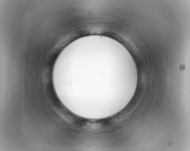X0000090500311200708102246