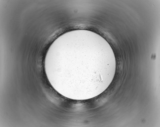 X0000090500312200708102246