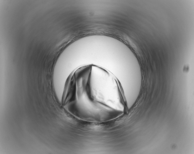 X0000090500313200708102246