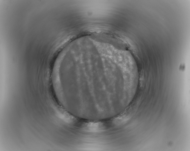 X0000090500314200708102246