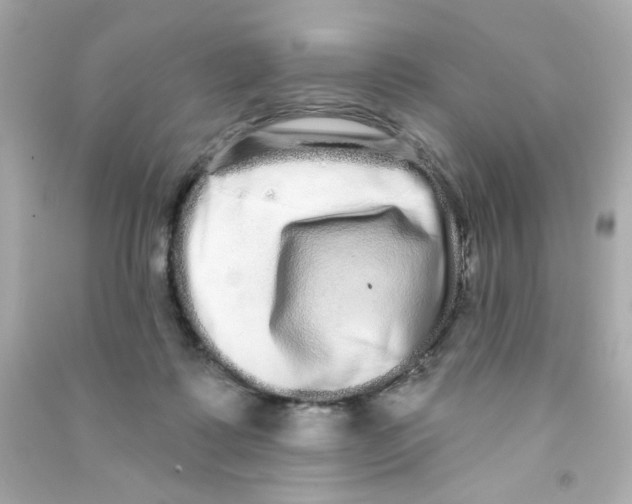 X0000090500315200708102246