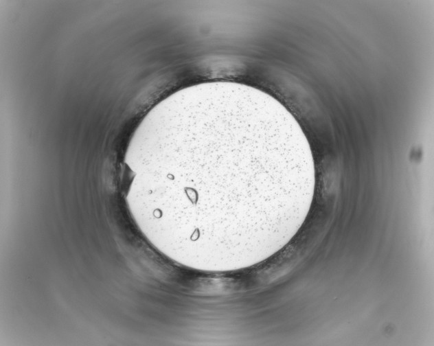 X0000090500316200708102246