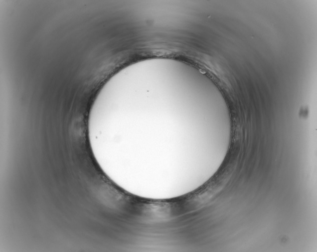 X0000090500317200708102246