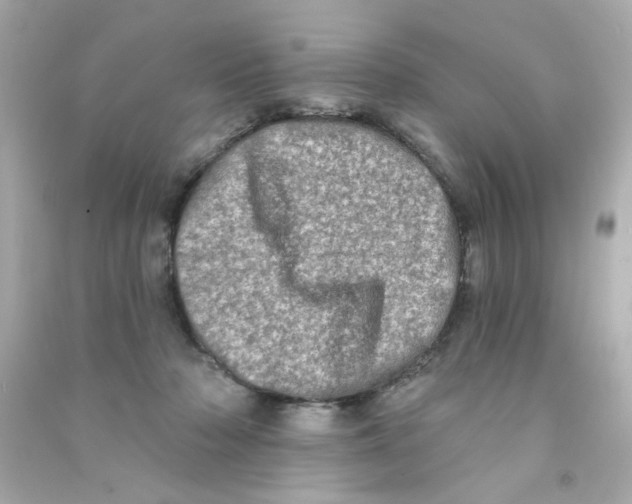 X0000090500318200708102246