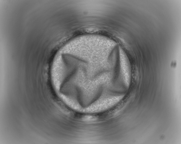 X0000090500319200708102246