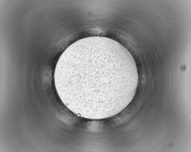 X0000090500320200708102246