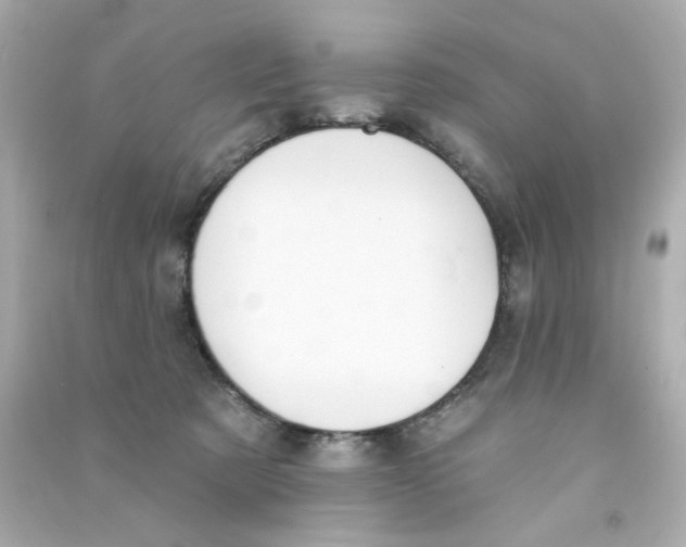 X0000090500321200708102246