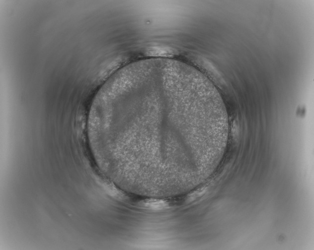 X0000090500322200708102246