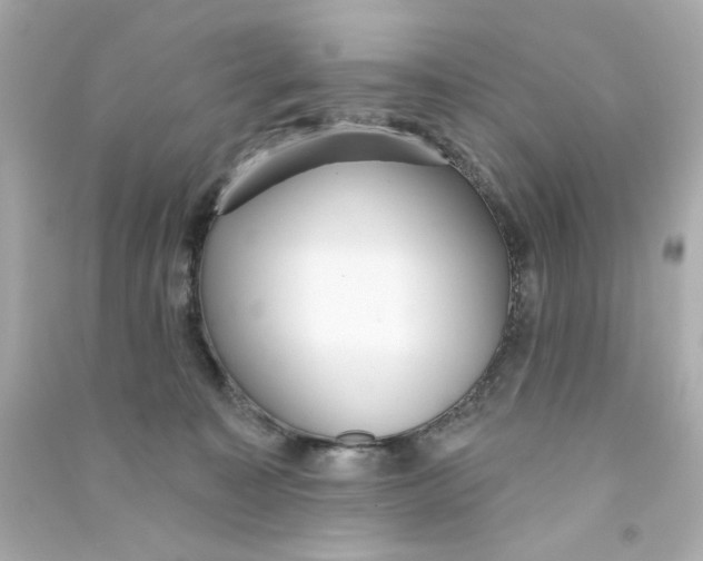 X0000090500323200708102246