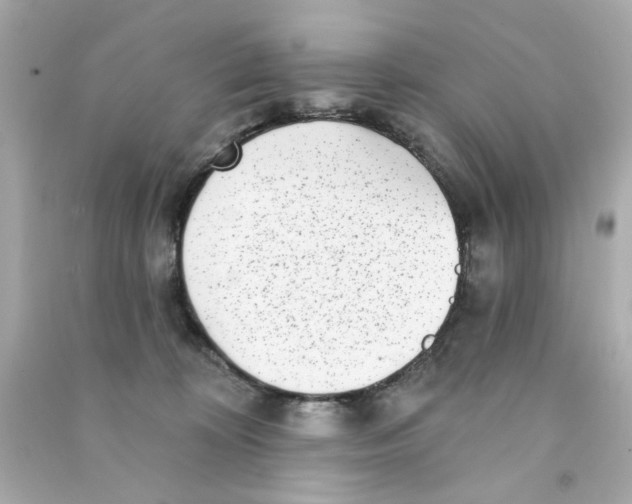 X0000090500324200708102246